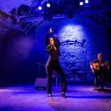 9-Flamenco-Vivo-1